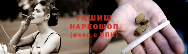 СК Ивангород